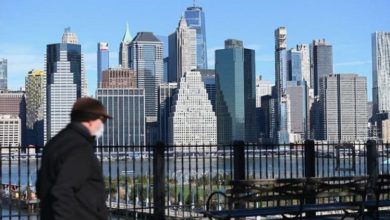 3A530799 E59A 4414 991F E5EE6375D0CA