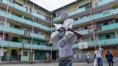 3EB66555 971E 4FA0 BD72 298EA891D137