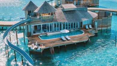 40894EB5 1C9A 4A7C 925B 14E1611CAA09