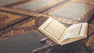 4290899C 6CA0 4BAF 8E6B C787A997EEC9