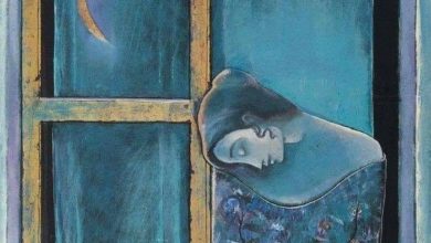 46E6C33D 5DE7 4FE2 918F 68263FF08685