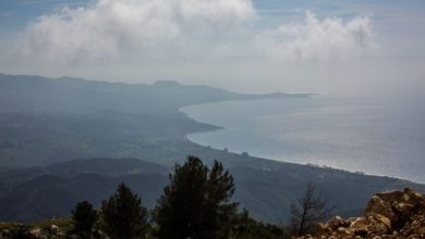 48DD9BA7 C164 4DD1 A4A9 1E260E62280B