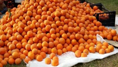 4A97E20A F2A5 4654 BC99 090B65C5EA17