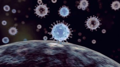 4FB41203 BF47 417C BE9B 6D0AD87A5C19