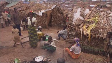 4f451646ff5b07fec67661268c98e4cbe8a1a19d