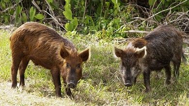 539EFA60 A3FF 4370 943F DA7BCAD7F0F7