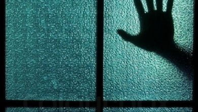 541507DF DA59 4A6F 87E2 131607703448