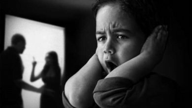 553B40CF 7762 4E67 A3ED 3B5965C38D85