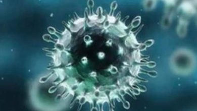 فيروس كورونا ينهي حياة فنان عالمي جديد 14 5737516 1584108517