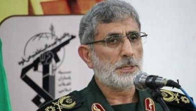 636c477c8466f965389a2a43c28f7642