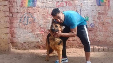 63BBDC40 7646 44A7 80C9 FD3FEFC6B8D9