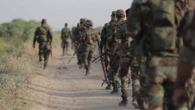 67214790 2054927041483254 7379799785093464064 n