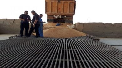 70ACF127 EEA4 48C3 8BBA 44892DBABDFC