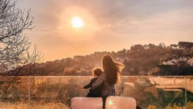 71FD90CD 0829 4783 B64B 260BE8BD11A8