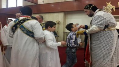 72a60f0a94ce7029298cf5fa93339490