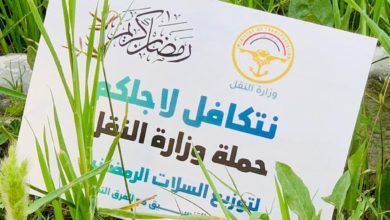 73324317 F0A9 43A0 B6D3 8435ED20E3E0