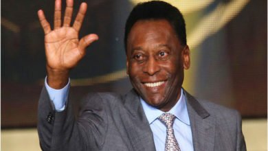 7DE03666 A4BD 4F63 8DB2 4D6E2E05F46F