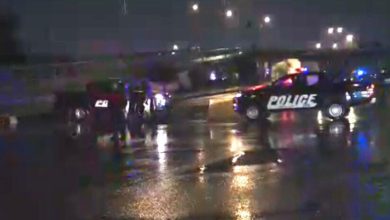 7cb71ff6deea25a5f444288c50cda332