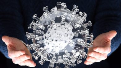 8C72A1A7 F2E2 4D0A B747 CB267469A2DA