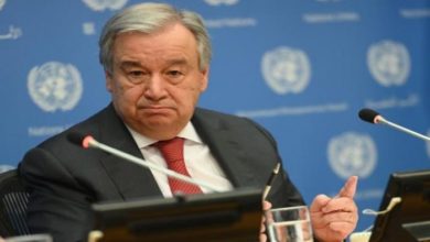 8DB02615 0778 4521 9412 6E45D81B9A58