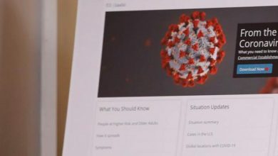 943EB29B E68E 4B78 A1CE 079DF99A82AE