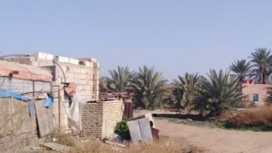 9584B355 024D 426C 9349 F94D11E3381C