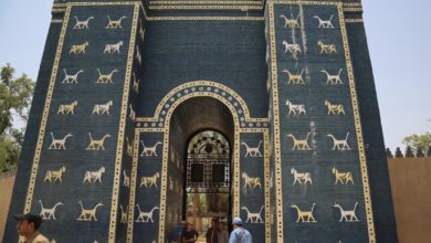 9E612ADB 0C43 47CB 921D 4954B966D383