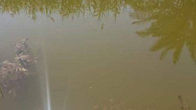 9F361D9E 91C0 439F 8E98 C9C28E13D51D