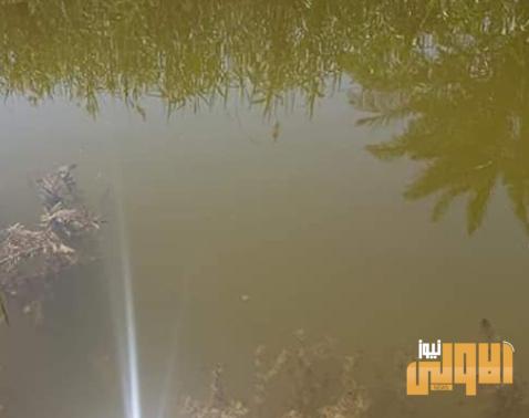 سكان البصرة يطالبون بأيجاد حل لمشكلة ملوحة مياه نهر الدير 1 9F361D9E 91C0 439F 8E98 C9C28E13D51D