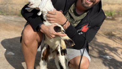 A6F8DF99 B849 42FB B881 3F60BEF98D17