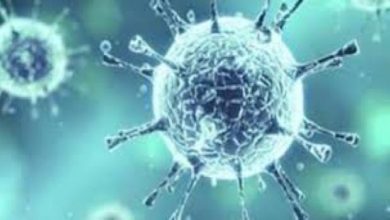 AB10F107 4F82 4E95 ACD8 B1BAFC472597