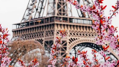 AEA96D85 7459 4432 87CE C1B4AD7E48A0