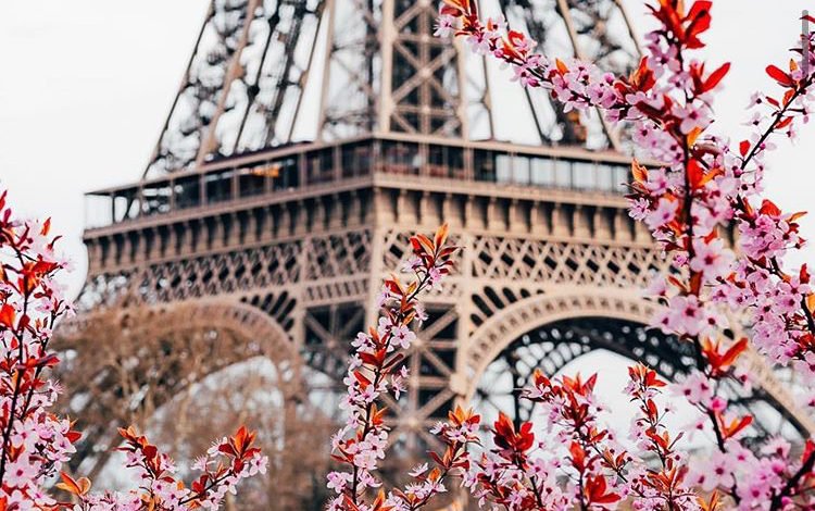 AEA96D85 7459 4432 87CE C1B4AD7E48A0