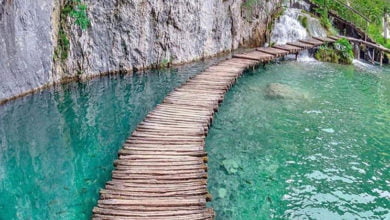 B08C5BF9 C329 452C 8840 8FD394C468B0