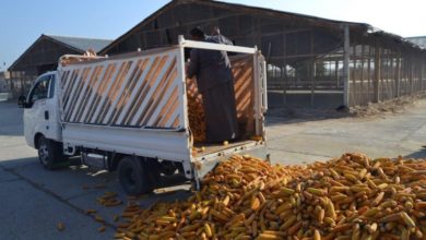 B105E2AD 829C 45D2 BCDD 5E07CECDABBD