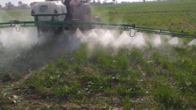 B98CE28B 8A43 47AD 97DD FEAD6D3AE1DA