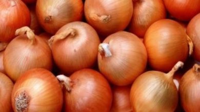 C00B2553 18C3 4729 AF65 43F638E10DA7