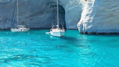 CA7659E1 5163 41A6 8814 88C8D795A05F