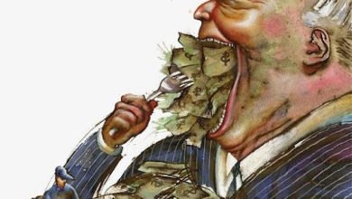 CC6B7F4E D71D 4F03 A8E5 364CE1702237