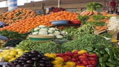 D5B12909 ABBC 43BC 99F4 5B88318C018A