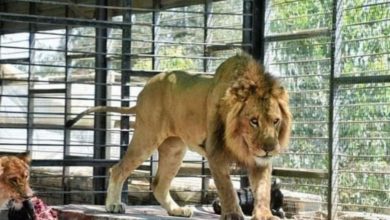 D79C7544 AD90 46D0 B7F2 67E3A9A2F0D6