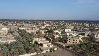 Doc P 342046 637228884427561382