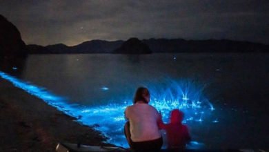 EA038827 5F72 4AFA 9360 76478D24F6C0