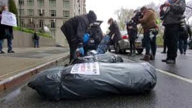 EBC2450C 424B 45F3 89B0 3717717750B7