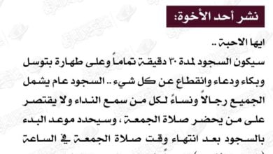 EE1773B1 E828 4DBA 90B3 BCB475907743