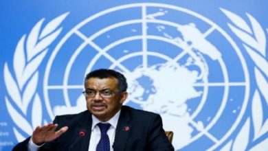 F025163D 4780 4C0C A127 695DEB611E95