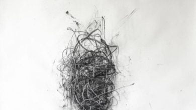 F313F8FE 3296 42D5 904C 6545F99A6FFA