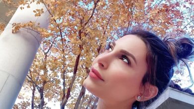 F5302123 F59E 4B8A 9B8C 92D1917C85D6