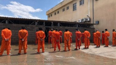 F81980C6 5063 453A AB1B F6F591A6AAD4