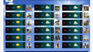 FAAD6F65 6DF6 47CE 8231 134C3CE963C4